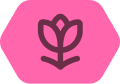 Bloom mod icon